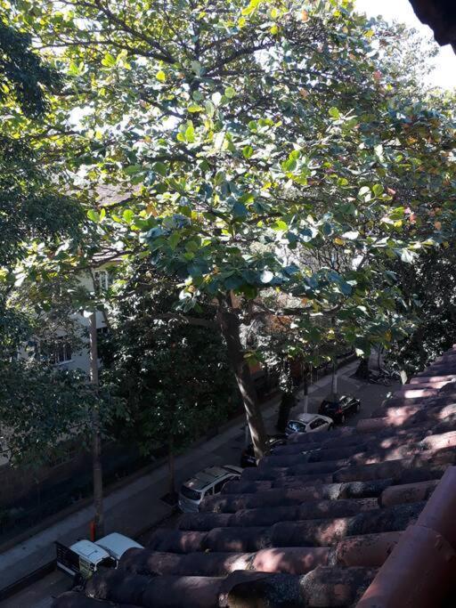 Vaga Em Hostel No Leblon Rio de Janeiro Exteriör bild